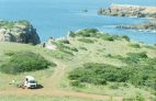 VW Bus / Bulli mieten (Portugal): Anbieter-Test 2020