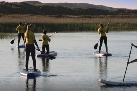 Surfen in Dänemark: Der Westwind Surfshop