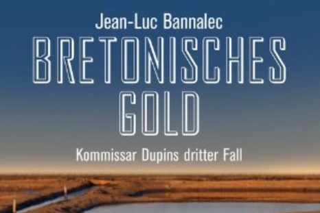 Surfen in Frankreich: Ein Buchtipp