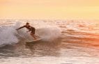 Surfen in Moliets: Das Dreamsea Surfcamp