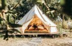 Surfen in Moliets: Das Surfcamp von Dreamsea Bild 1